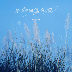 车震小说男男父子乱伦
