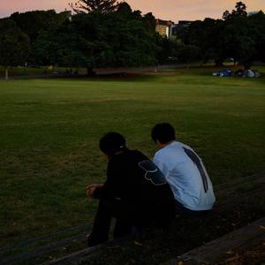 小马拉大车妈妈儿子
