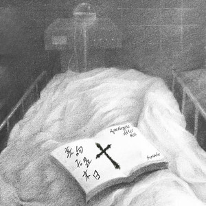 日本中文字幕在线观看
