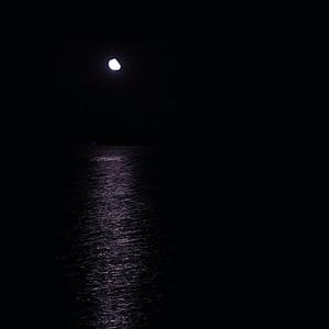 欧美性猛交 XXXX 乱大交8
