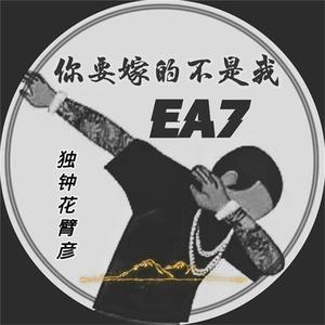 depixon同人动画合集密码
