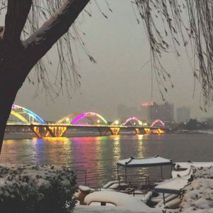 老八和陈红视频
