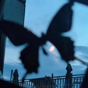 沈樵七旬老农电影免费观看高清
