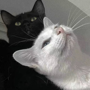 沈樵七旬老农电影免费观看高清
