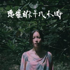 老八和陈红视频
