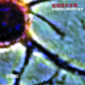 日本h在线亚洲网站在线观看
