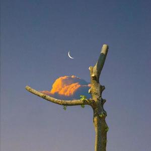 国产私拍福利精品视频推出
