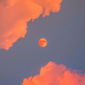 国产永不无码精品AV永久
