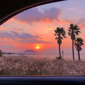 丝瓜黄色强奸视频
