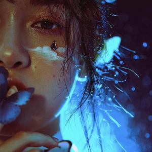 大雷打狙免费观看高清视频
