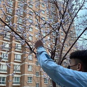 欧美性猛交 XXXX 乱大交8
