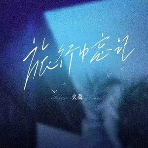 老八和陈红视频
