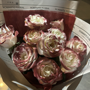 美乃雀破坏版无码
