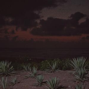 70hinese浓毛老太HD
