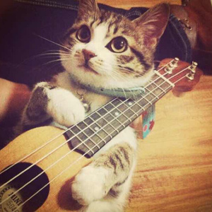 欧美亚洲综合高清在线
