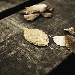 国产男男Gay🔞体育生A片
