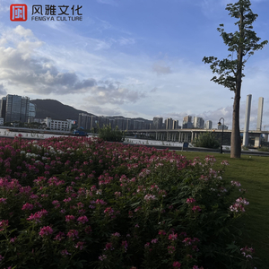 曰批全过程免费视频在线观看网站
