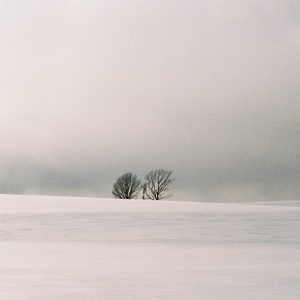 赖俊与沈莹的第二次相遇与相处
