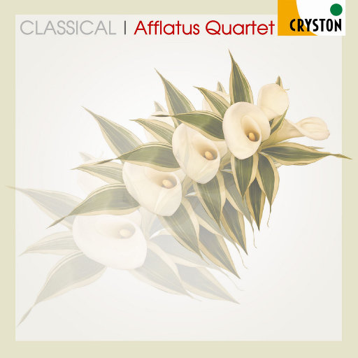 美乃雀破坏版无码
